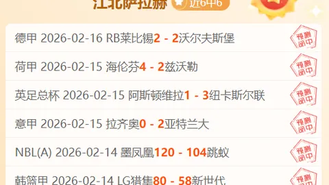大乐透2026023期专家质合分析推荐